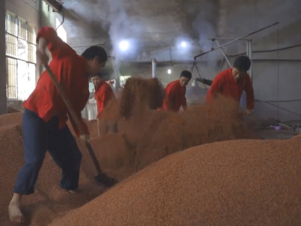 一文看懂醬香型白酒和濃香型白酒的工藝區別